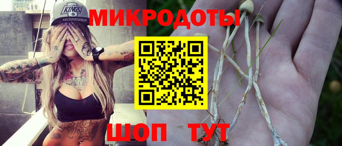 Кириши  как найти наркотики  Вход с VPN  Галлюциногенные грибы Psilocybine cubensis  Галлюциногенные грибы ЛСД 